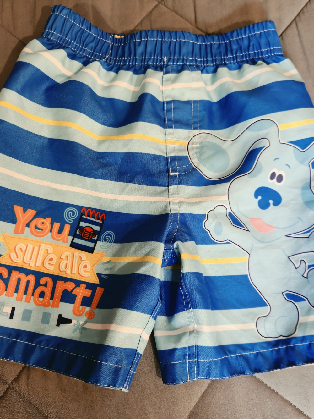 Nickelodeon Blue Stripe Boys Swim Trunks with Blue's Clues Graphic